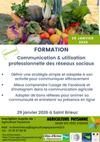 Communication stratégique et réseaux sociaux