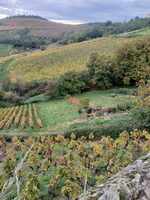 [FONCIER BEAUJOLAIS POUR S INSTALLER ET S ENTRAIDER]