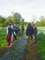 Sensibiliser à l'agriculture paysanne