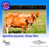 Agriculture paysanne, champs libres
