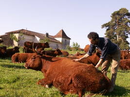 Faire le point sur ses pratiques avec le diagnostic Agriculture Paysanne