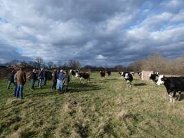 Accompagner les fermes en difficulté