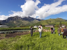 Entreprendre en Agriculture Paysanne