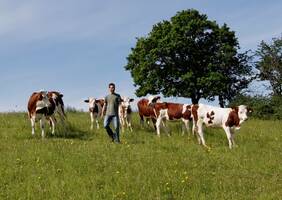 L'Agriculture paysanne