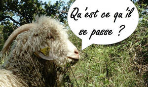 Actualités