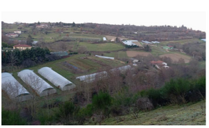[FERME A REPRENDRE - RONTALON]