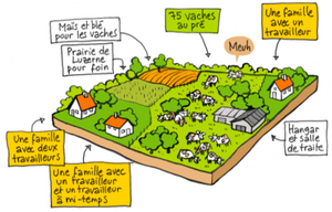 Les annonces fonçières