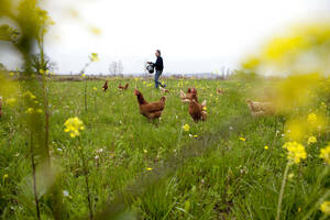 L’Agriculture Paysanne