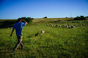 La Dotation Nouvel Agriculteur (DNA)