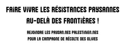 Cagnotte de soutien pour les paysan.ne.s qui vont participer à la campagne de récolte des olives en Palestine 