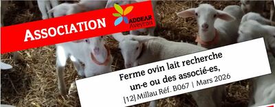 ASSOCIATION | Ferme ovin lait recherche un-e ou des associé-es