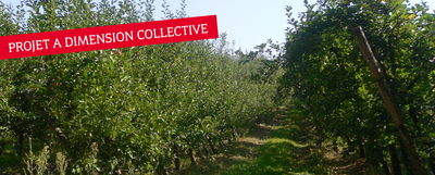 PROJET COLLECTIF | Paysanne installée en arboriculture cherche entraide, et appui à la diversification de la ferme