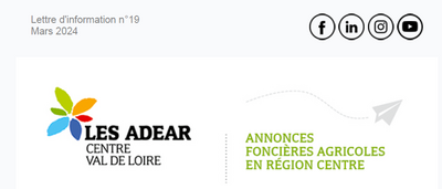 Lettre d’information foncière n°17