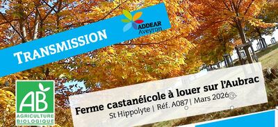 TRANSMISSION | Ferme castanéicole à louer sur l'Aubrac