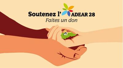 Semons des graines de solidarité dans nos territoires