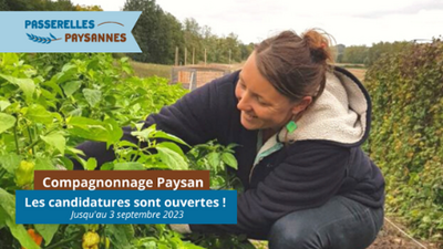 COMPAGNONNAGE PAYSAN