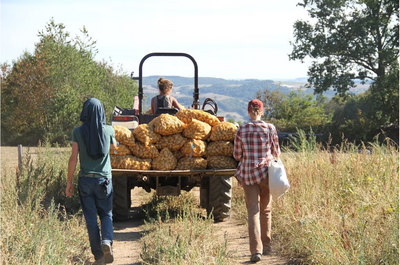 Faire un stage pratique court dans des fermes du réseau
