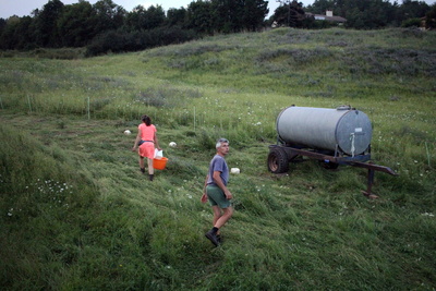 Renouvellement des générations agricoles : freins et leviers 