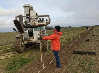 Les arbres vont faire leur retour en 