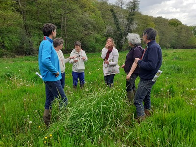 Formation Mieux connaître ses prairies naturelles pour les gérer durablement - 20, 27 mai et 16 juin