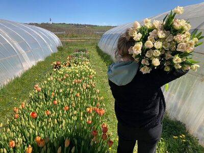 S’installer en collectif ou transmettre sa ferme à un collectif : qu’est-ce que ça implique ?