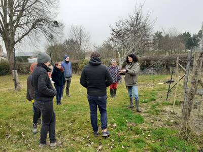 Groupe maraîchage - Venez échanger sur votre vécu professionnel avec vos collègues
