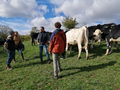 Réfléchir ses pratiques de pâturage en s’appuyant sur les végétations naturelles