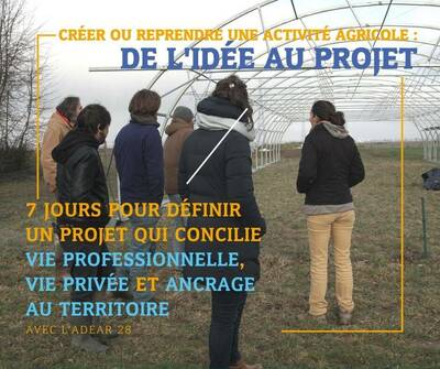 Réunion d'information 