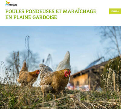 Livret Parcours d'installation progressive en agriculture paysanne dans le Gard