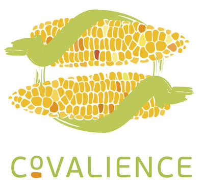 Sélection participative : tous les résultats de COVALIENCE