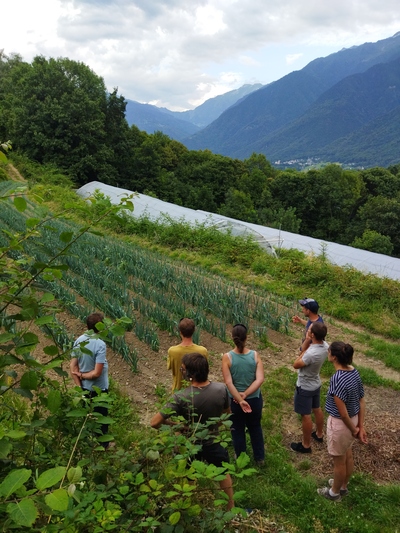 GIEE « Agriculture de conservation appliquée au maraîchage » 