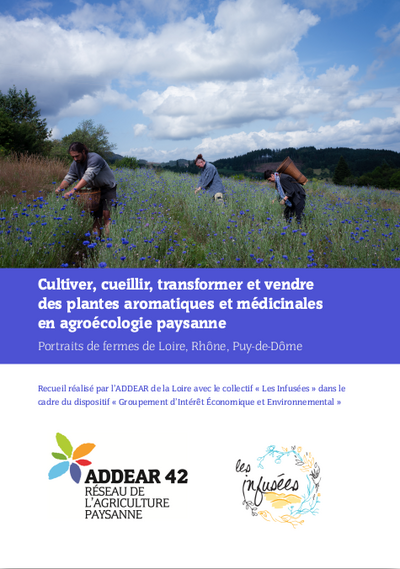 Portraits de fermes en plantes aromatiques et médicinales