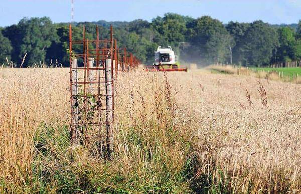 Une formation riche en visites et en études de cas