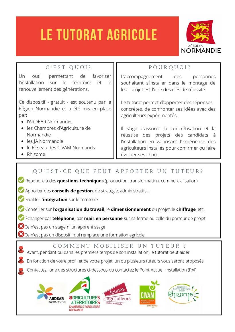 Le tutorat qu'est-ce que c'est ?