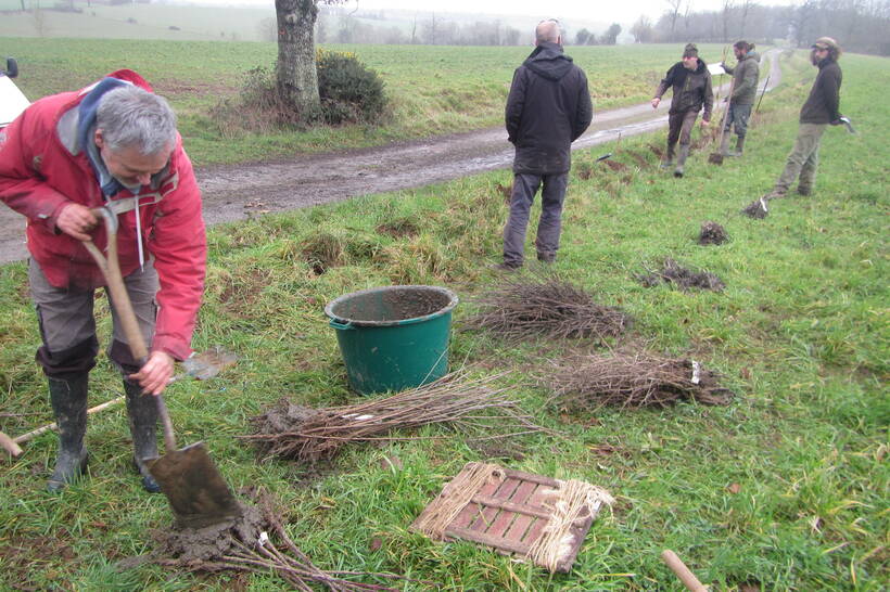 Chantier collectif de plantation de haies