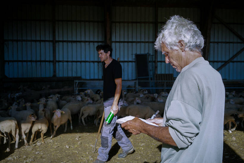 Accompagner les projets de transmission