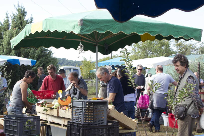 Marché paysan