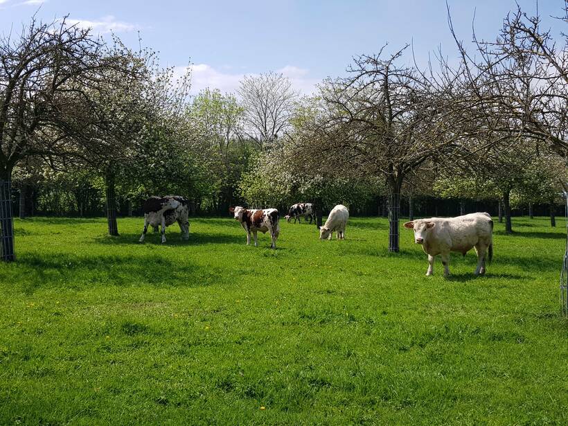L'agriculture paysanne en Normandie