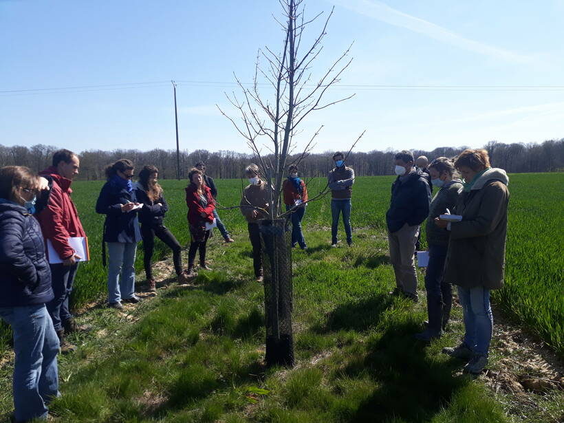 Formation agroforesterie