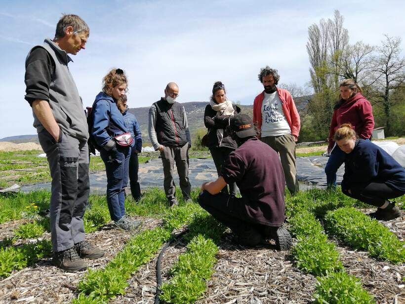 Les maraicher.e.s en visite sur une ferme semencière