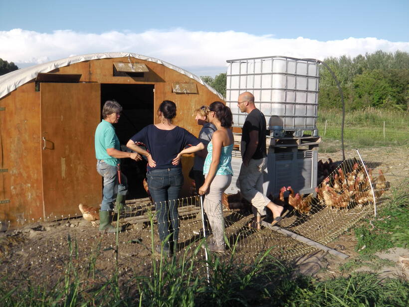 Visite de ferme en maraichage et poules pondeuses