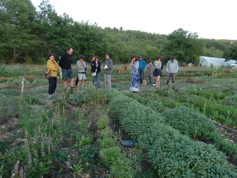 Visite de ferme en PPAM