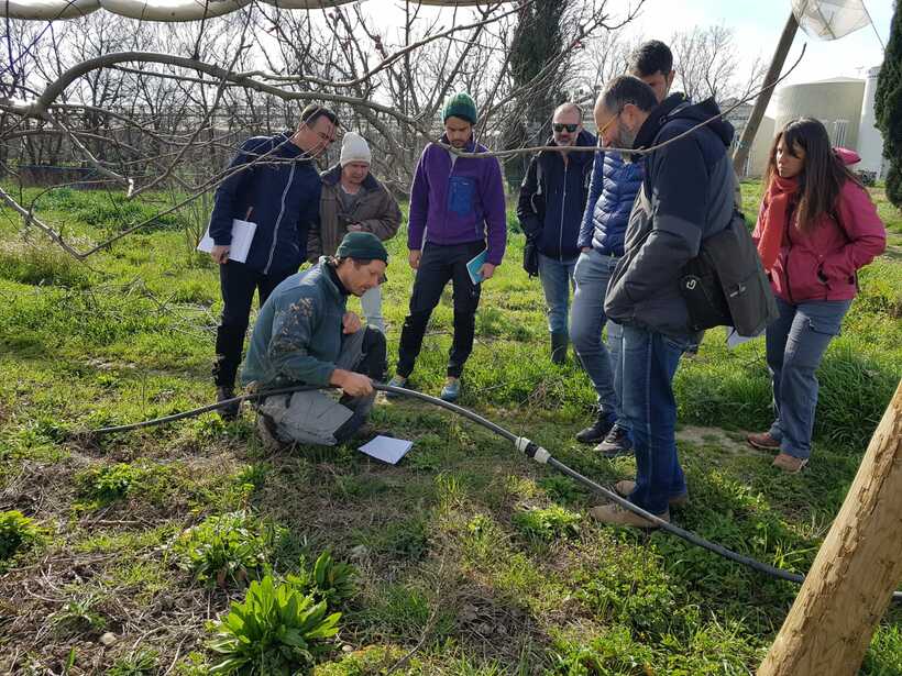 Visite terrain Ferme de la Durette - Formation irrigation 2025