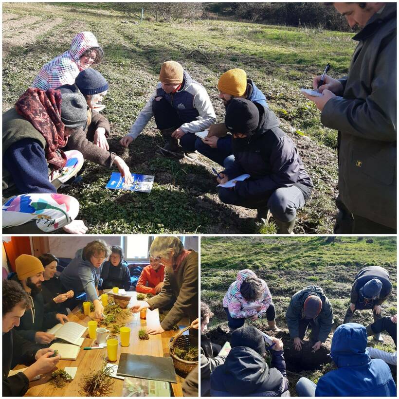 Formation diagnostic du sol par les plantes bio-indicatrices
